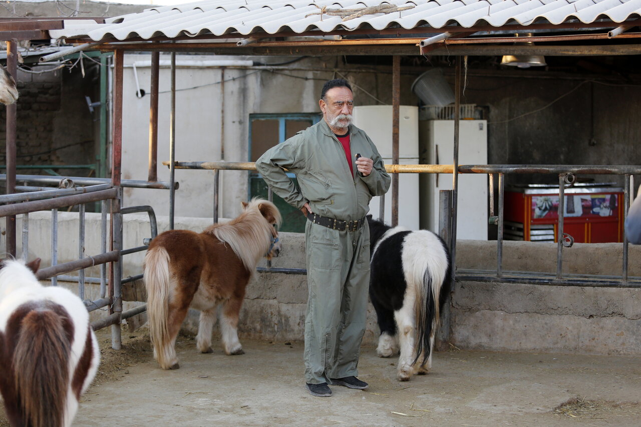 این مرد ۷۰۰ حیوان در خانه اش نگهداری می کند | از پلیکان بادیگارد تا ببر سیبری ! (عکس)