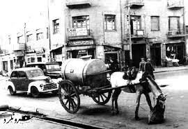 دیدار با شاعران پارسیگوی به همراه وکیلالرعایا | چرا نام خیابان کریمخان تغییر نکرد؟