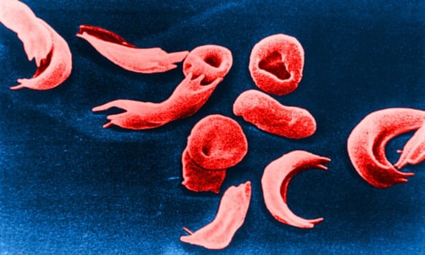 برترین اتفاقات علمی ۲۰۲۳ | مروری بر آنچه در جهان علم و دانش گذشت