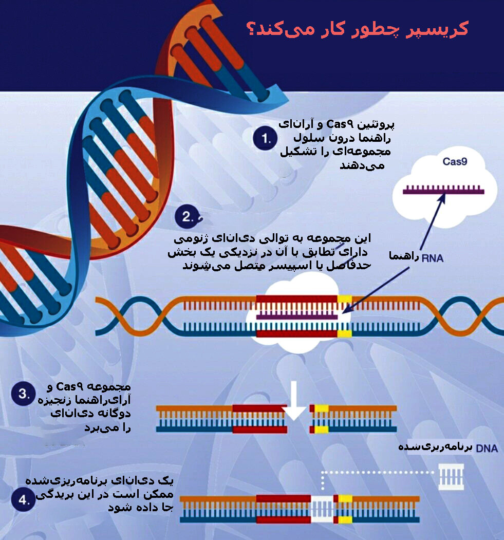 تایید دو روش ژندرمانی برای درمان یک کمخونی ارثی مرگبار