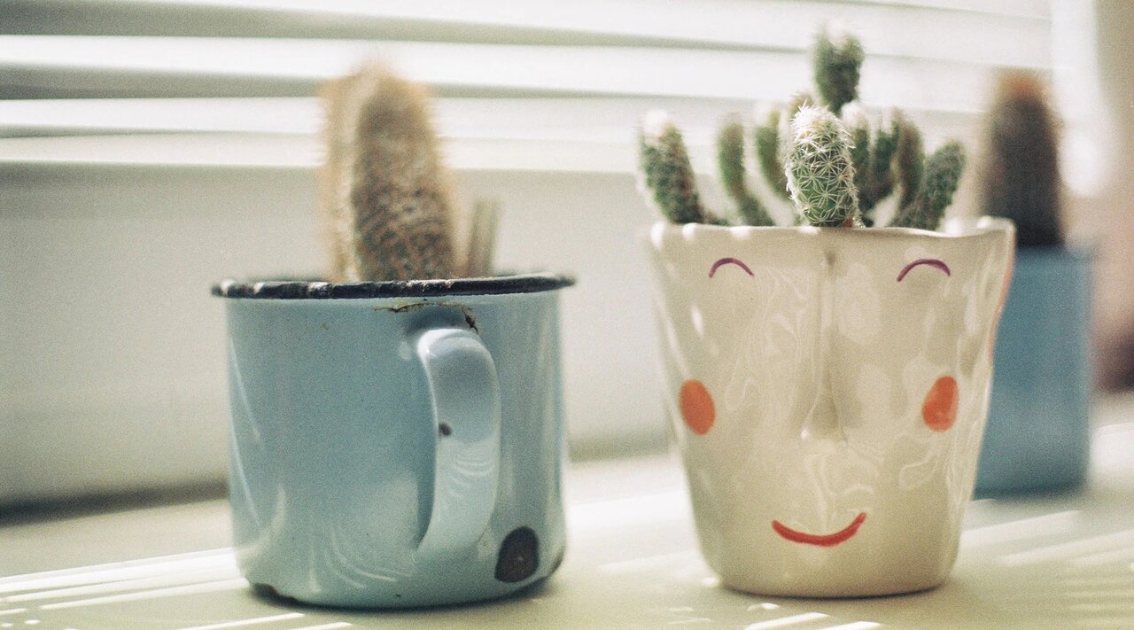 استفاده خلاقانه از ماگهای قدیمی که آنها را دوباره کاربردی میکند