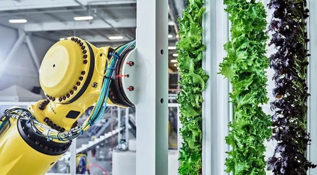 مزرعه روباتیک