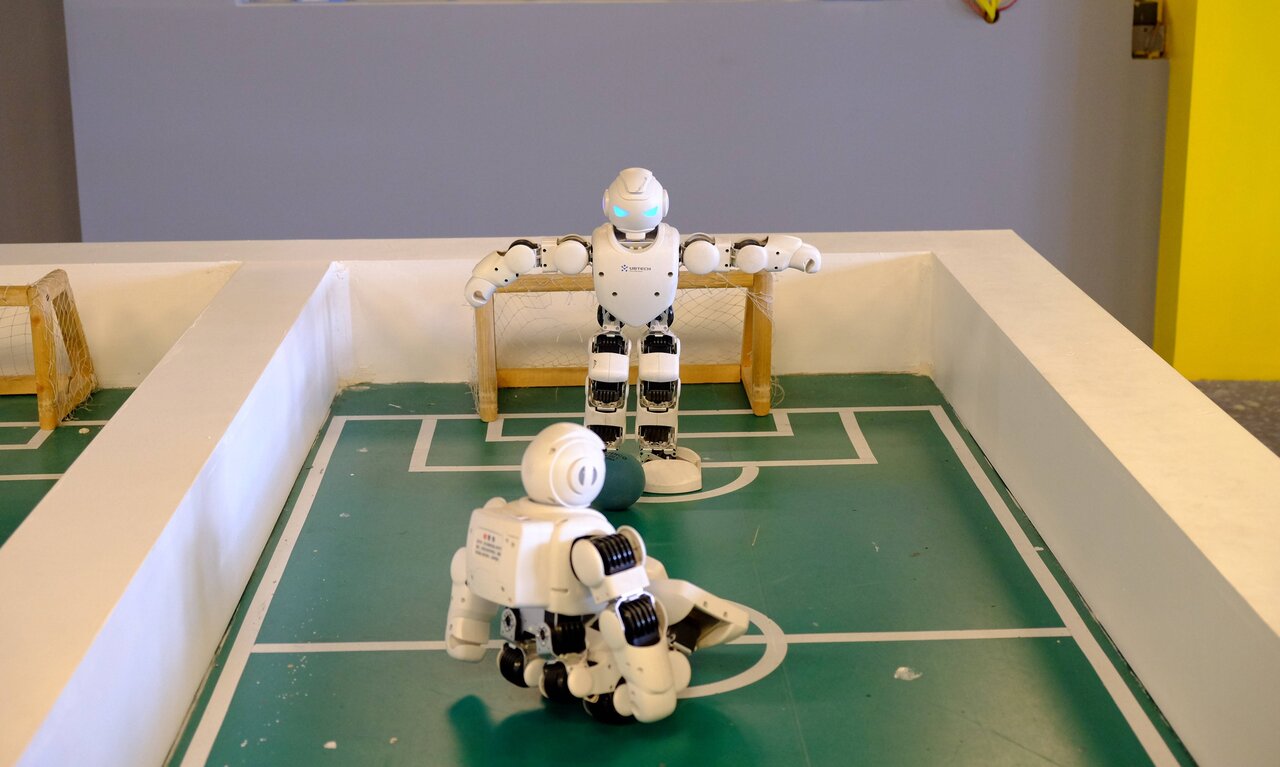 کشف، تجربه و یادگیری در باغ کتاب | در هزارتوی علم