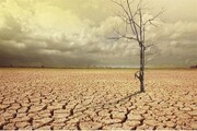 کاهش ۷۵ درصدی بارش‌ها در کشور |هشدار تشدید تنش آبی در ایران  | گرم‌ترین نوامبر تاریخ در قاره آسیا
