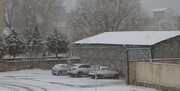 برف مدارس این شهر ایران را تعطیل کرد | شدت بارش برف را ببینید