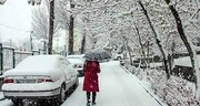 لحظات بارش شدید برف در اردبیل | ببینید