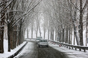 ارتفاع برف در این نقطه از ایران به ۳۰ سانتی متر رسید | تداوم بارش برف شدید در شمال و غرب کشور