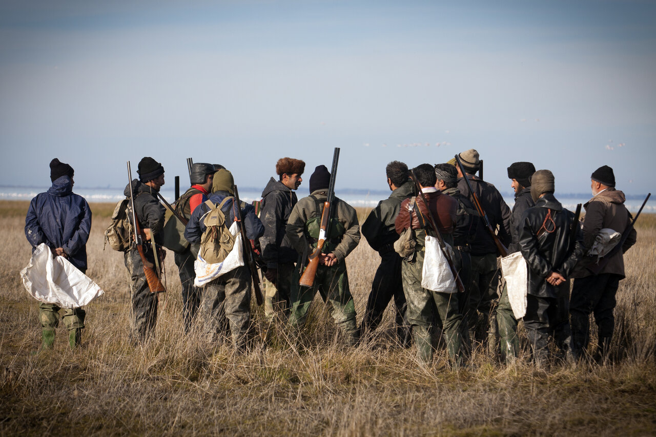 شکار پرنده- آشوراده- حامد خورشیدی