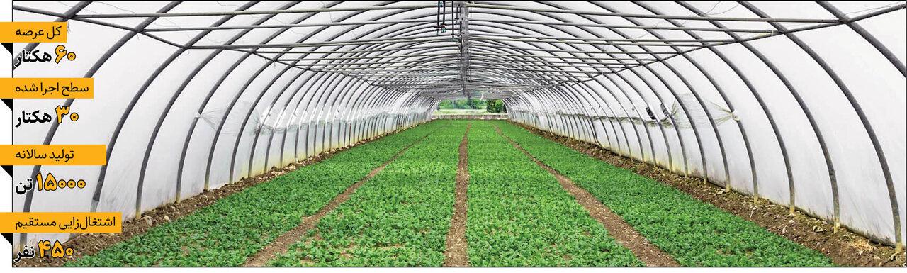 رونمایی از دومین گلخانه مدرن ایران