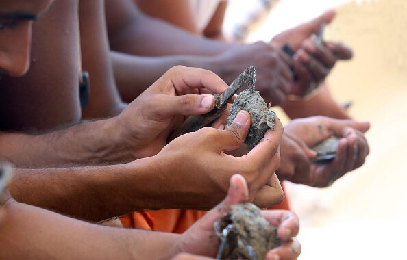 صید مروارید- صدف