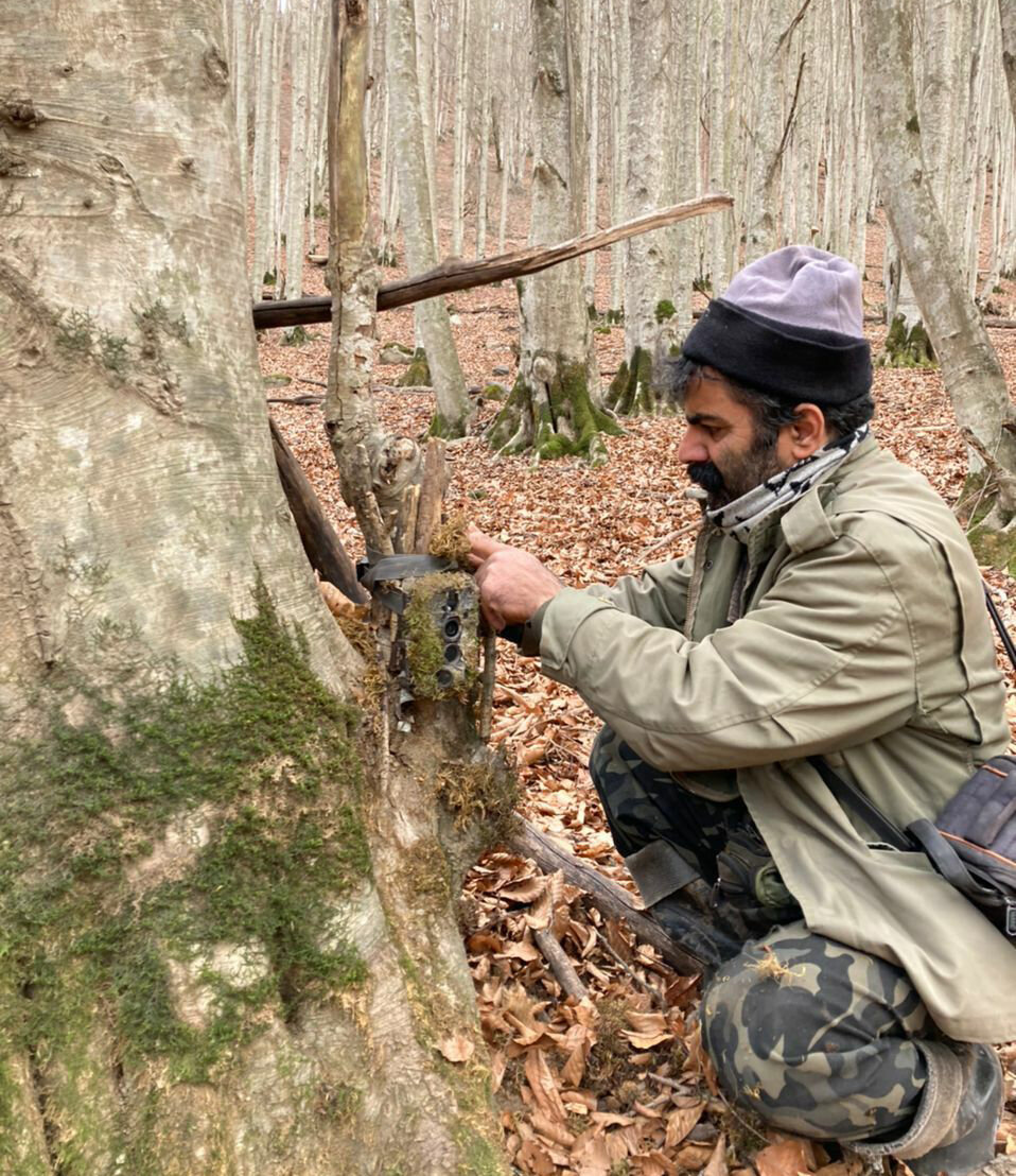 مرد جنگلی ایران با حیوانات صحبت میکند | اولین بار با یک خرس صحبت کردم | واکنش خاص پلنگ به احوالپرسی مرد جنگلی | آرزو دارم روزی با... | تصاویر