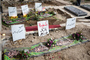 تلخ ترین تصویر از مزار خانوادگی ۳ شهید حادثه تروریستی کرمان