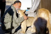 این مرد کرجی در خانه‌اش شیر و پلنگ و ببر سیبری نگه می‌دارد | تصاویری باورنکردنی از یک باغ وحش خانگی در قلب ایران با حیوانانی خاص و نادر | تصاویر