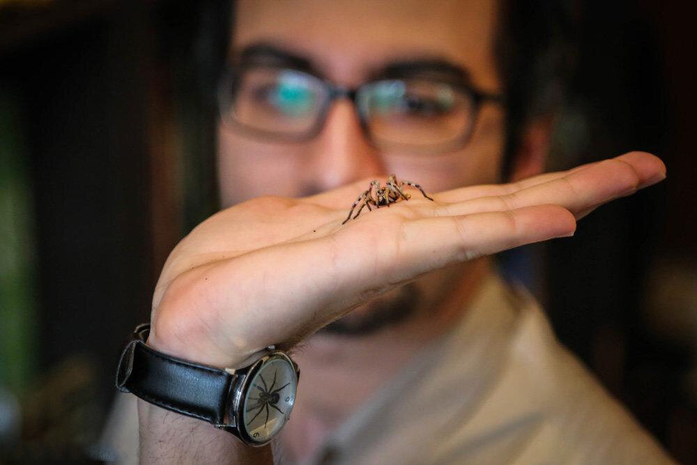 ماجرای زندگی عجیب مرد عنکبوتی ایران