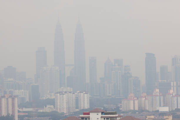 این عوامل میتوانند بر نازایی مؤثر باشند | افزایش شانس باروری با مصرف اسیدفولیک