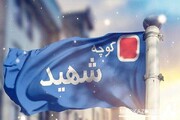 مصوبه شورای شهر در مورد حمله تروریستی کرمان | یک خیابان به نام فائزه رحیمی نامگذاری خواهد شد