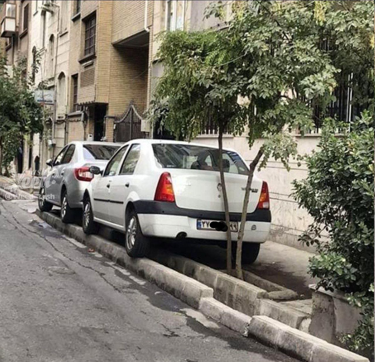 پارک کردن