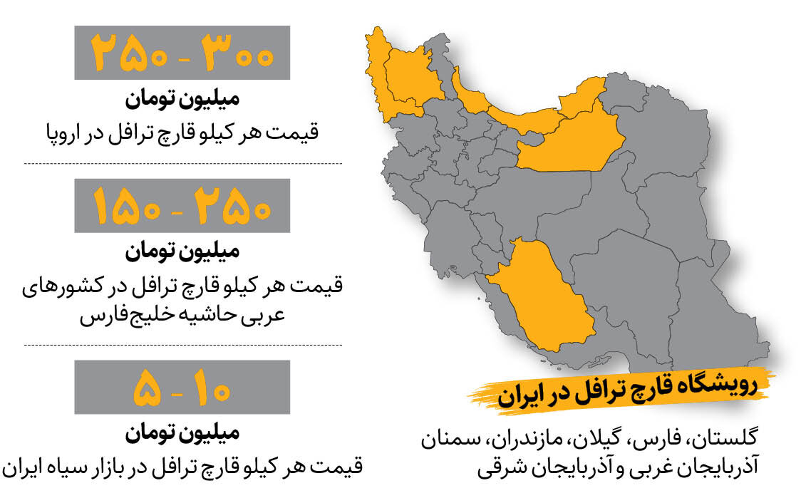 بازار داغ اکسیر جوانی ایران در اروپا و کشورهای عربی | الماس سیاه ایران کیلویی ۳۰۰ میلیون تومان !