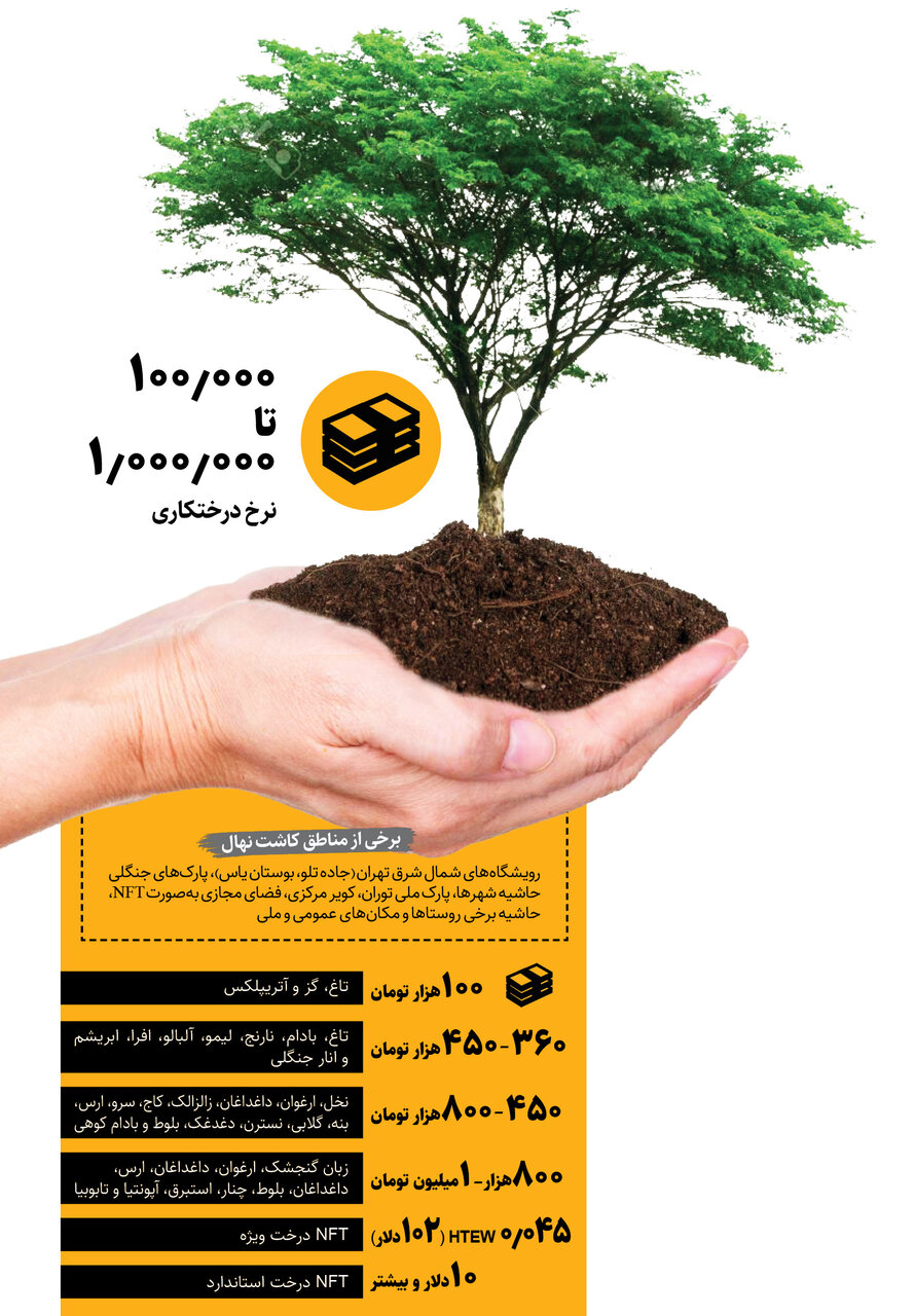 بیزینس درختکاری در ایران |  هدیه NFT درخت به جای درخت واقعی