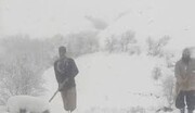 اولین برف سنگین زمستانی در کردستان؛ مدارس در این منطقه غیر حضوری شد | ببینید