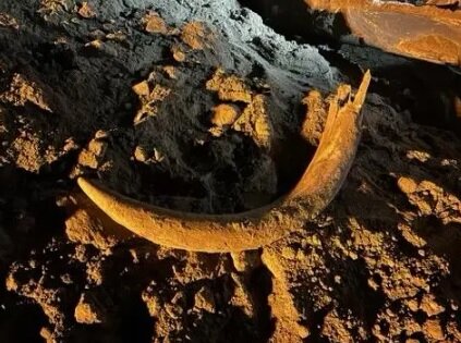 کشف هیجانانگیز اسکلت ماموت پس از هزاران سال! | نقش کارگران معدن زغال سنگ در این کشف