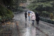 تهران سرد می‌شود | باران در راه است ؛ در پایتخت برف هم می‌بارد؟