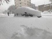 وضعیت درخت‌ها و ماشین‌ها بعد از بارش سنگین برف در اردبیل | ببینید