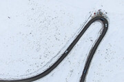 زیباترین تصاویر از جاده چالوس پس از ۲ روز بارش برف!