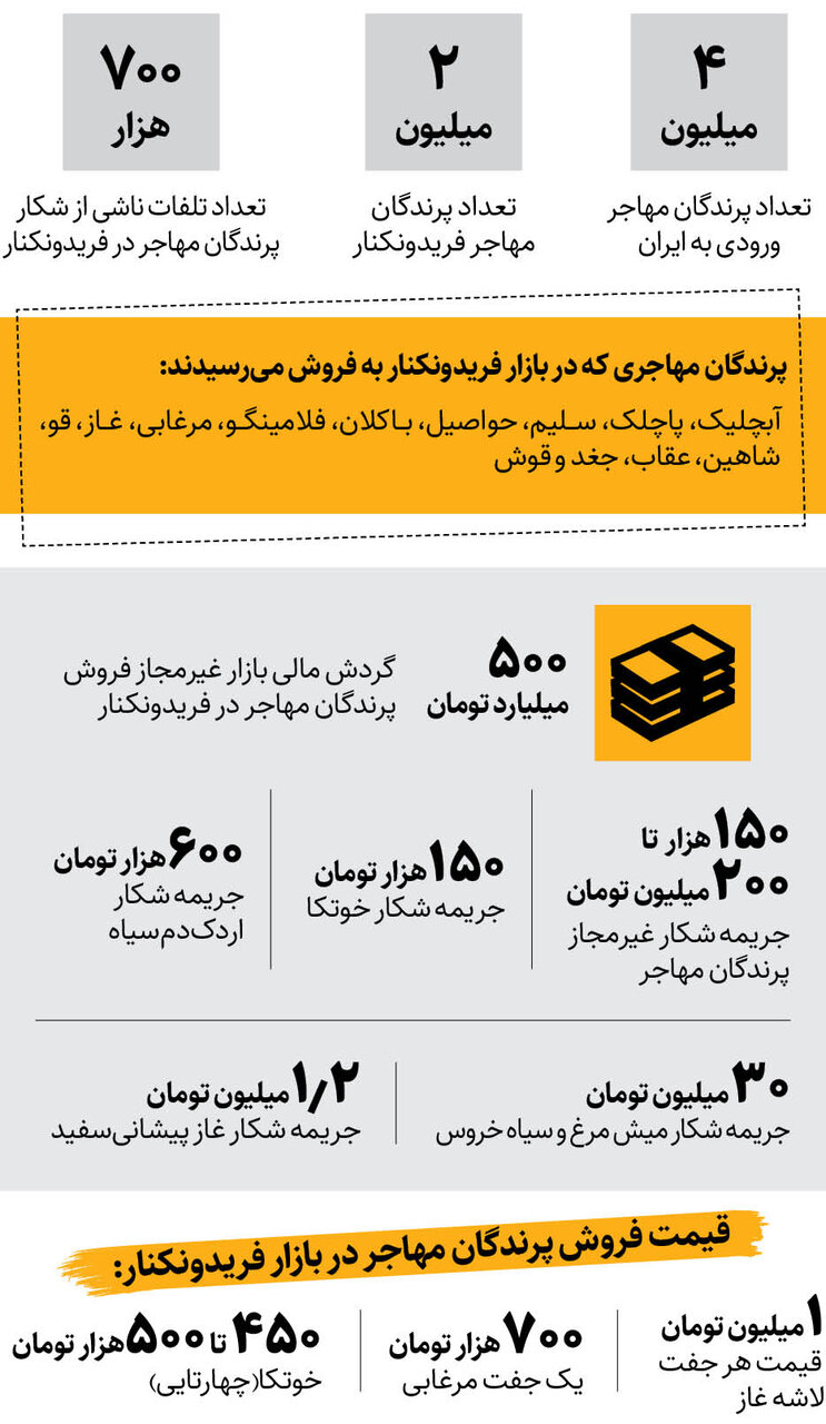 آتش بس در فریدونکنار ؛ قتل عام مهاجران پایان می یابد؟ | حساب بانکی متخلفان مسدود میشود