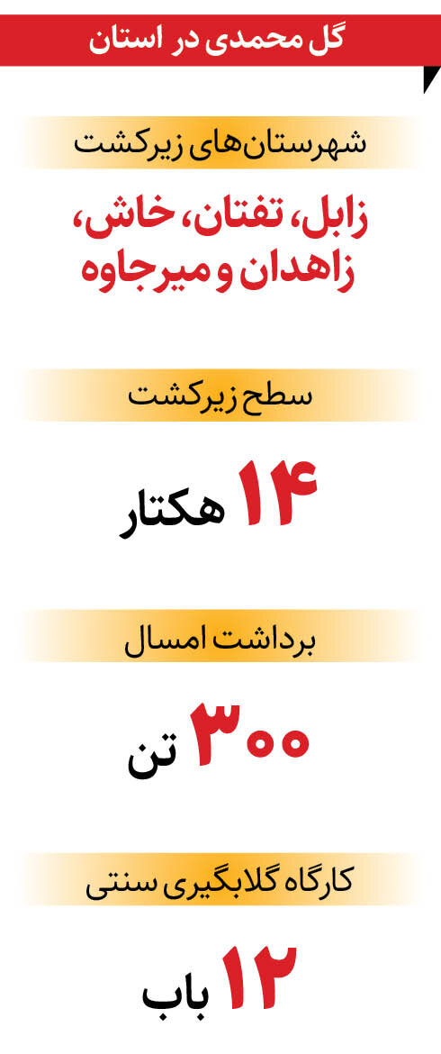 این شهر رقیب کاشان است!