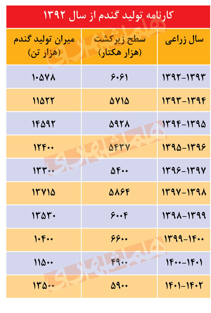 تهدید خودکفایی گندم ایران | خطر ورشکستگی آبی تا سال ۱۴۱۲