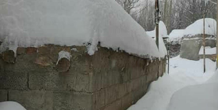 این روستا زیر برف دفن شد؛ ارتفاع برف روی خودروها را ببینید | تصاویر