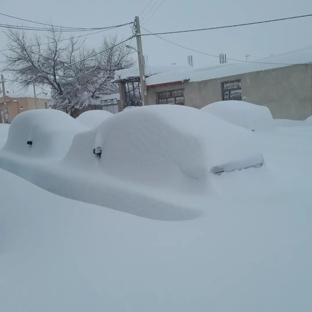 این روستا زیر برف دفن شد؛ ارتفاع برف روی خودروها را ببینید | تصاویر