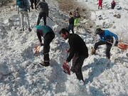 نجات یک شغال توسط کوهنوردان در طبیعت زمستانی | ببینید
