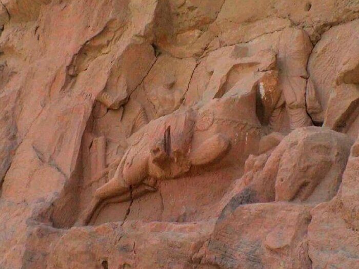 کشف نقش برجستههای ساسانی در افغانستان | عکس