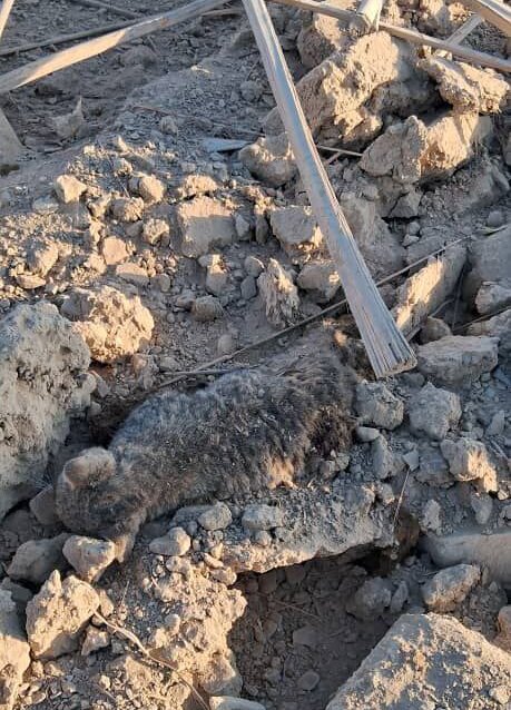 آخرین وضعیت امنیتی در مرز ایران و پاکستان | جزئیاتی از نقش پاکستان در انفجارهای روستای مرزی سراوان