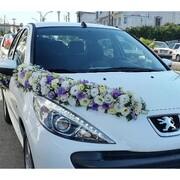 بازخوانی سرود سلام فرمانده توسط یک عروس و داماد در ماشین عروس | ببینید