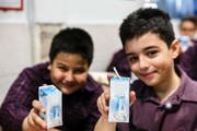 شیر رایگان توزیع شده در مدارس مسمومیت زا است؟