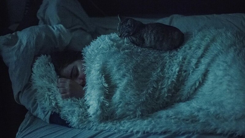 معمای خواب زمستانی انسانها | آیا انسان ها هم مانند حیوانات نیاز به خواب زمستانی دارند؟