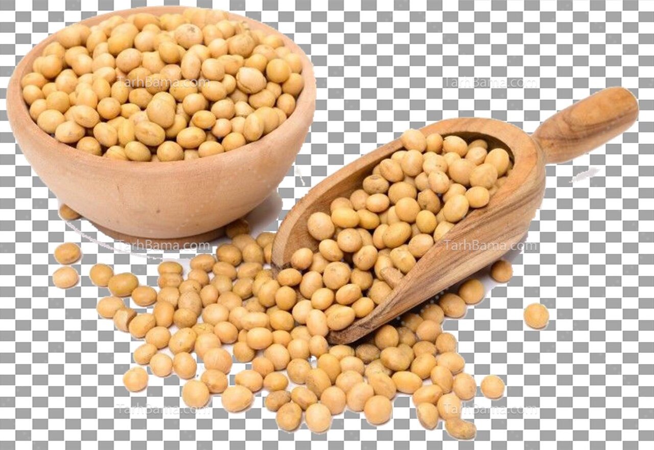 ایده های جذاب از سرو تا ذخیره حبوبات