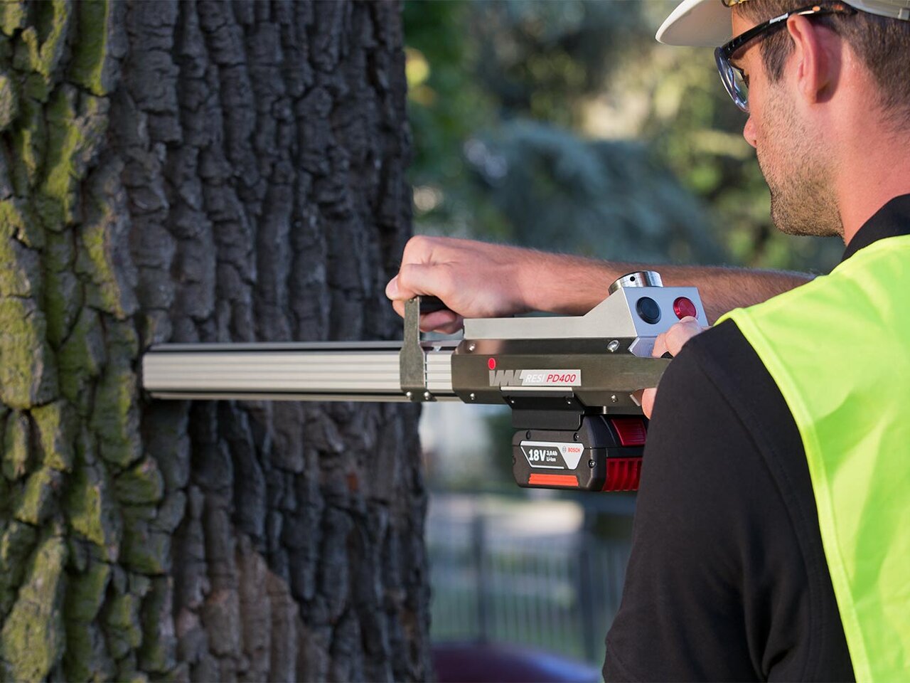 شهرداری های بزرگ دنیا با درختان پوسیده چطور برخورد میکنند؟ | قوانین قطع درختان در آمریکا، انگلیس و لهستان