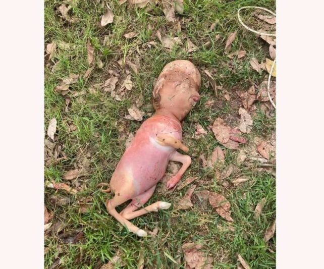 تولد حیوانی عجیب با سر انسان در تایلند ! | عکس