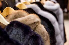 خرگوش چینچیلا کجای تهران پرورش مییافت؟ | آبادانی یک محله به دست سید نعناع