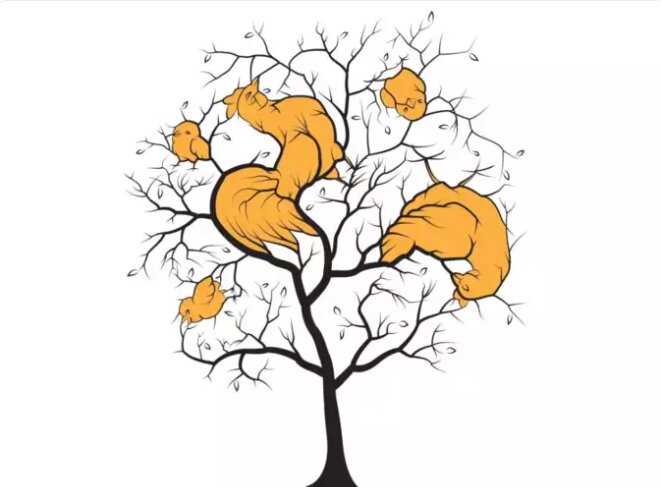 تیزبینها ۵ حیوان روی این درخت را در ۱۵ ثانیه پیدا میکنند