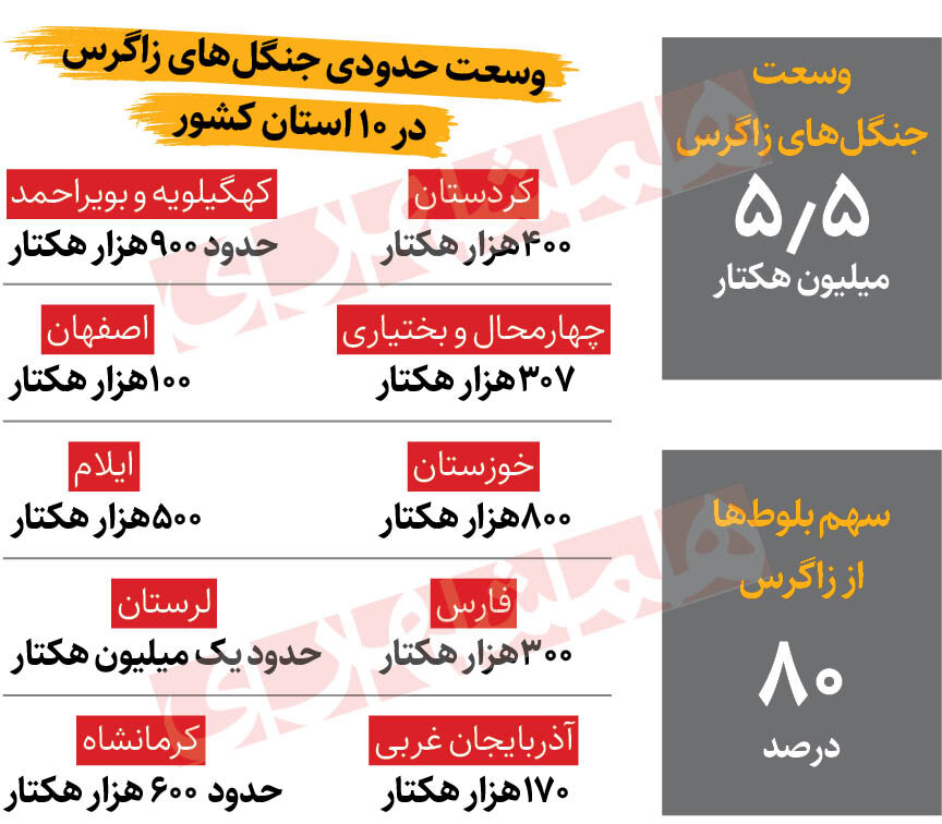 الگوی اروپایی برای نجات زاگرس | جنگلهای زاگرس شباهت زیادی با این سه کشور اروپایی دارند |چرا درختان زاگرس توان زادآوری ندارند؟ + اینفوگرافیک