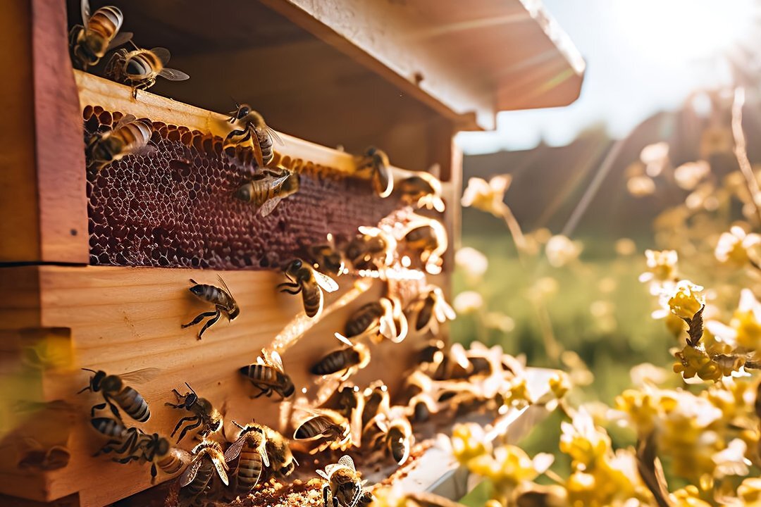 روش های تشخیص عسل طبیعی چیست؟