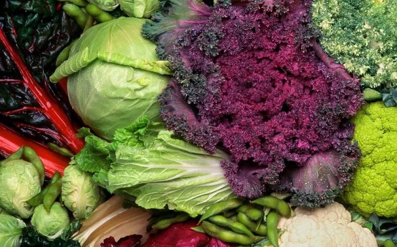 غذاهای ویژه برای مقابله با التهاب زمستانی