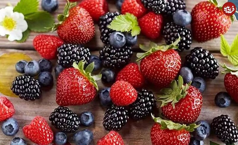 ۶ غذای کلیدی برای جلوگیری از مه مغزی، از نگاه متخصصان تغذیه