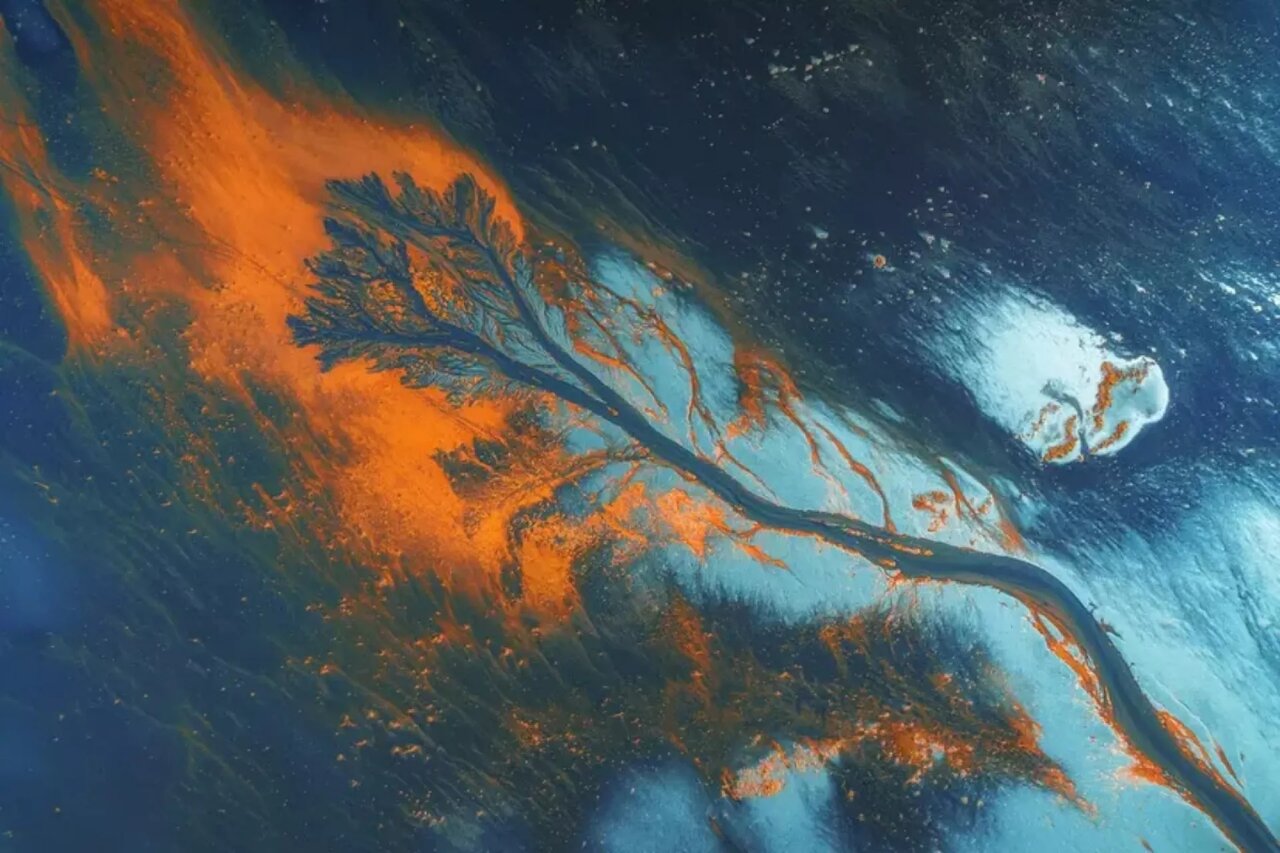 تماشای این عکس ها شگفت زدهتان می کند