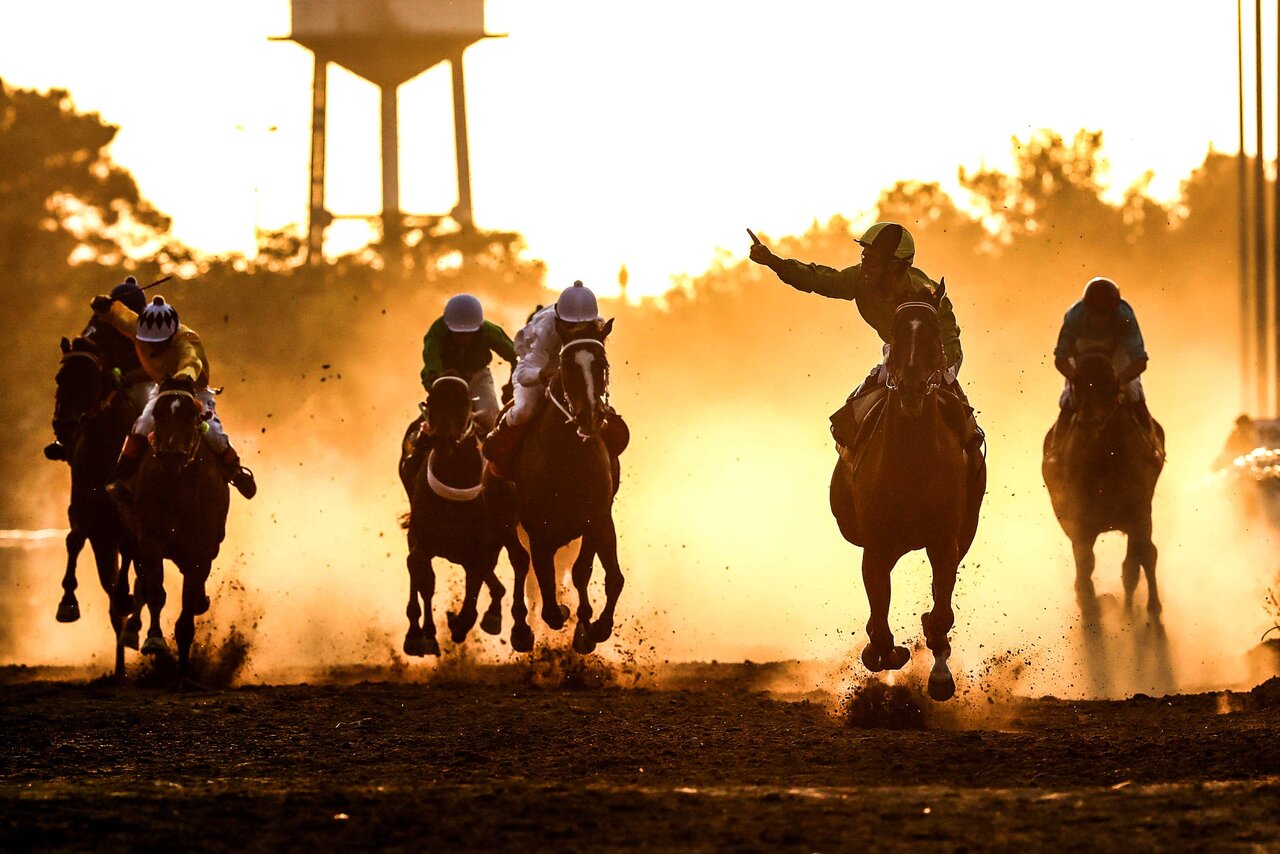 این مردها اسبهای اصیل را پرورش می دهند